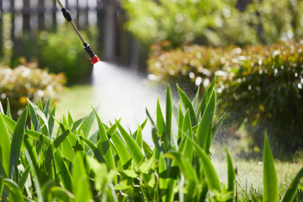24/7 Emergency Fumigation Services experts in Minersville, PA