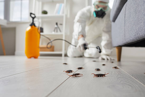 Trusted Termite Control service in Minersville, PA - Nex Pest Control
