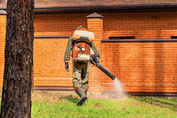 Trusted Mosquito Control service in Minersville, PA - Nex Pest Control